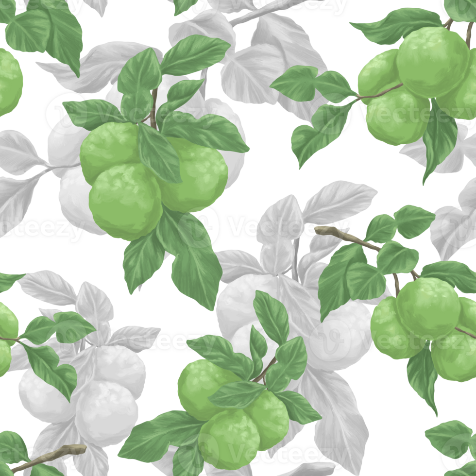 Bergamot pattern for fabric and textile print png