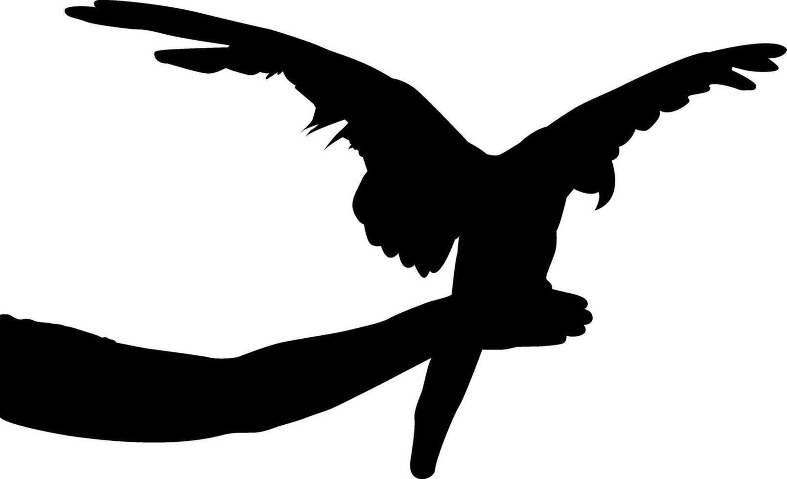 silhouette of a bird vector