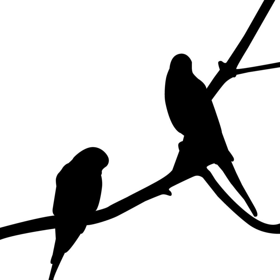 silhouette of a bird vector