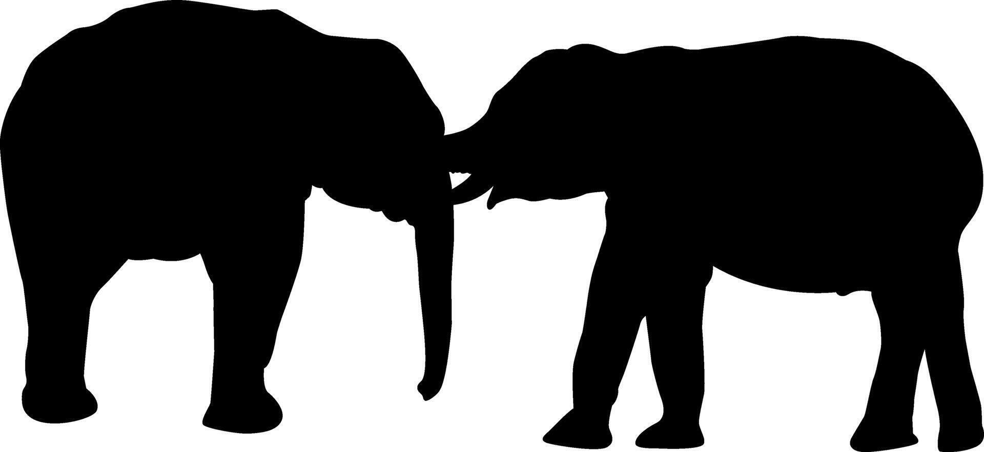 Silhouette two elephant vector