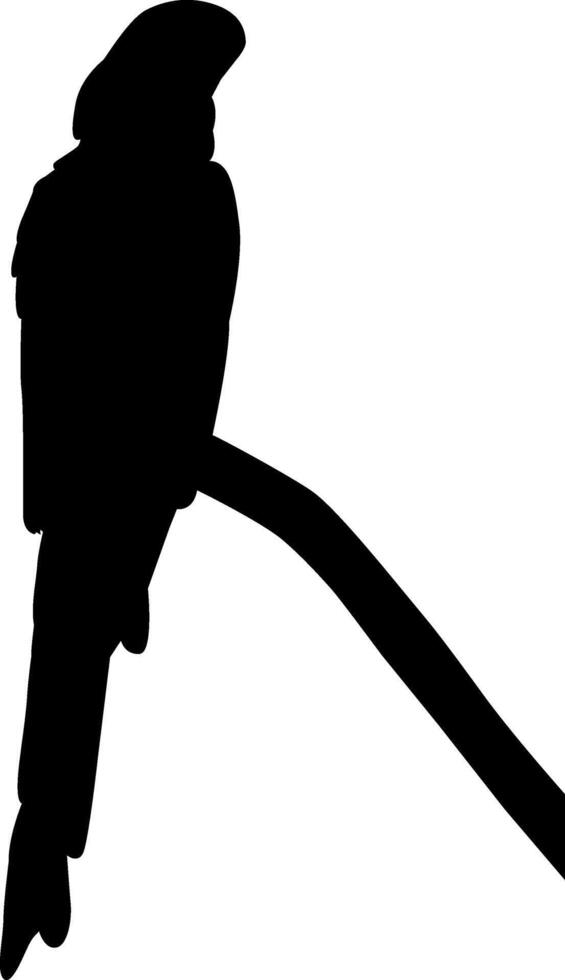 shillouette of a bird vector