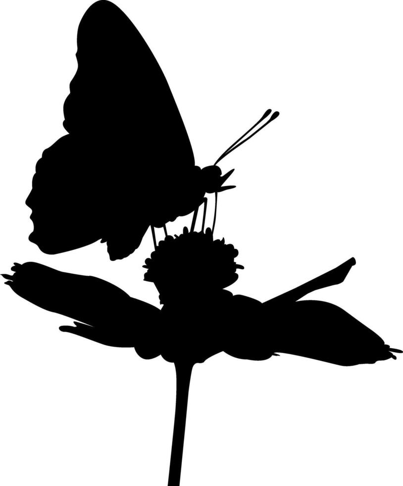 shillouette of butterfly on flower vector