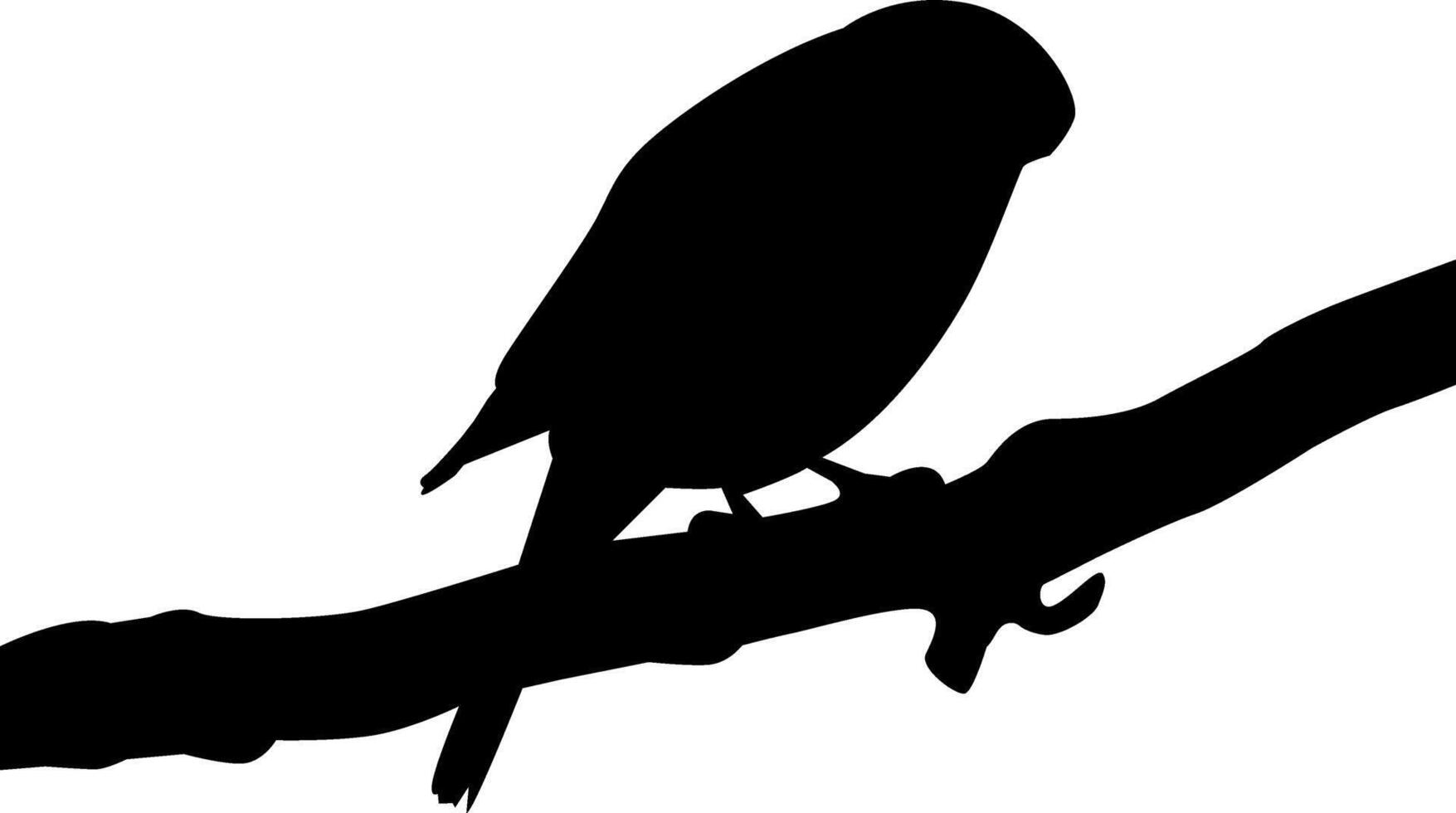 silhouette of a bird vector