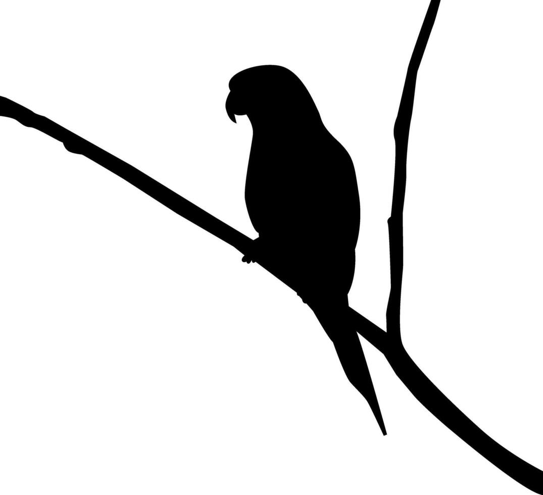 silhouette of a bird vector