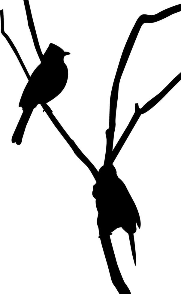 silhouette of a bird vector