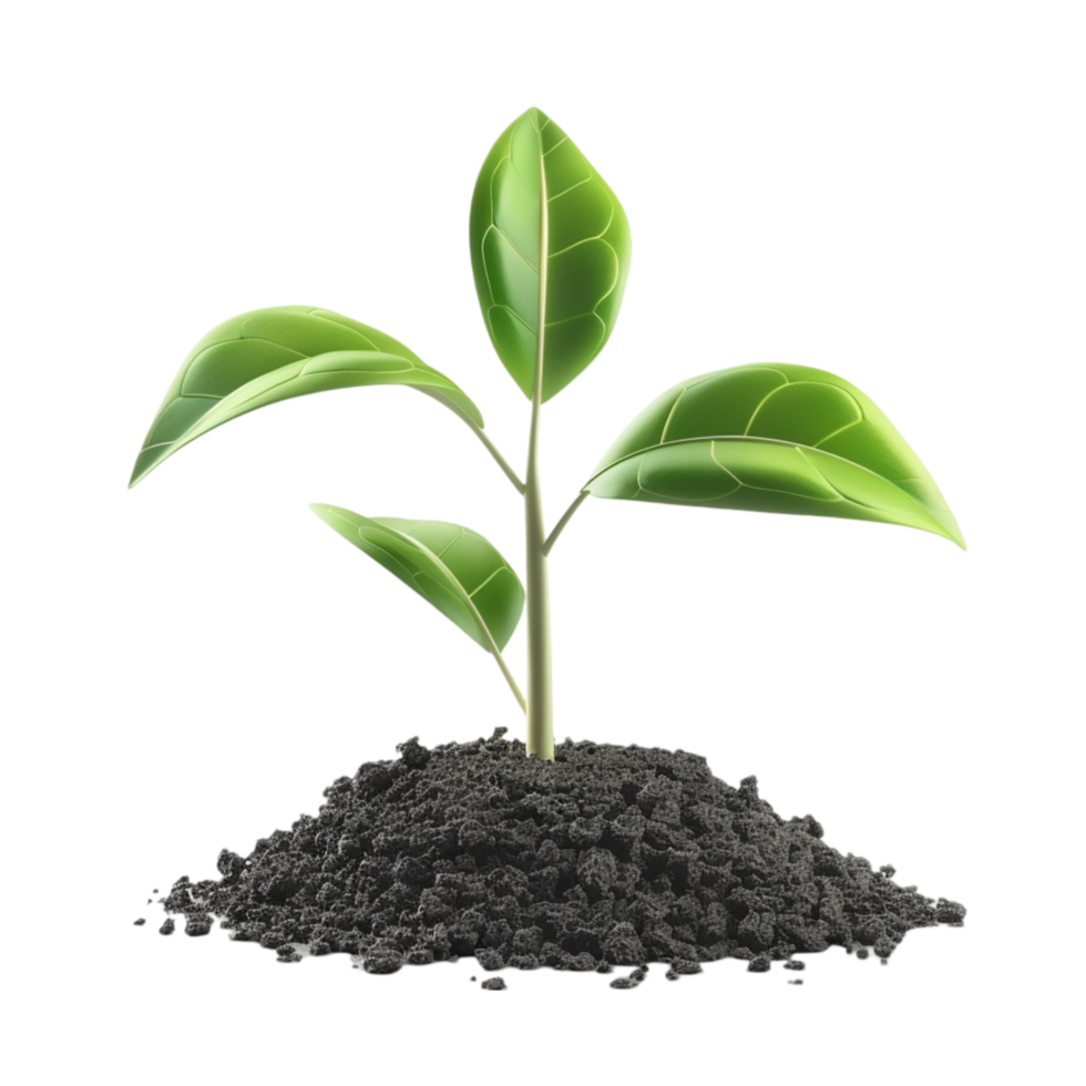 A plant growing out of dirt on a transparent background. png