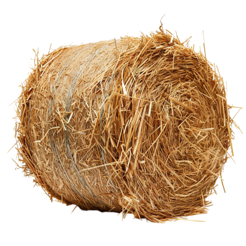 a round bale of hay png