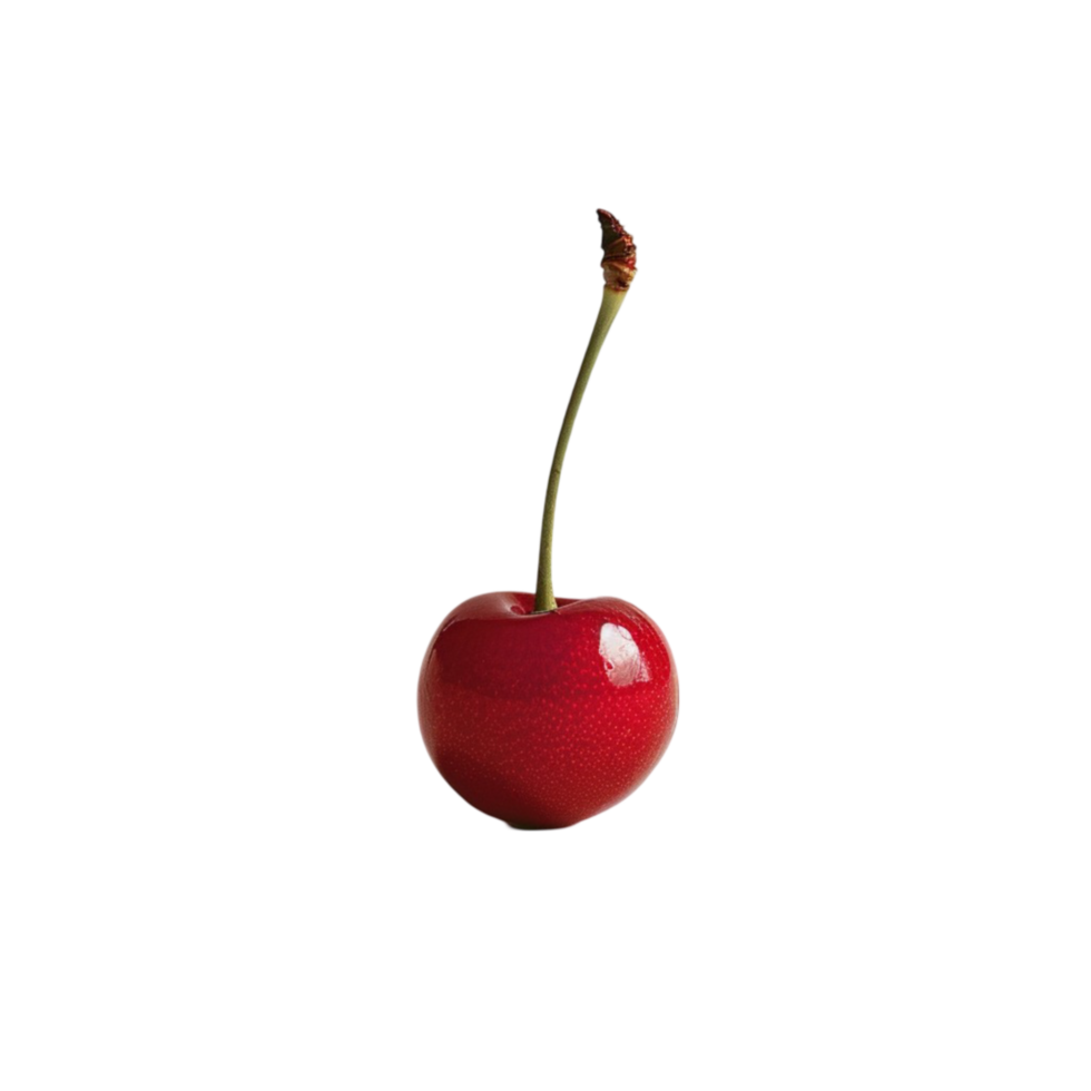 Cherry alone image png