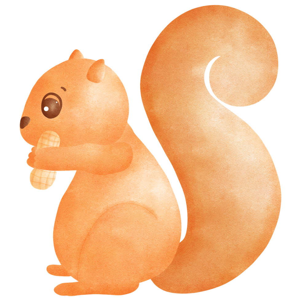 Squirrel holding nut png