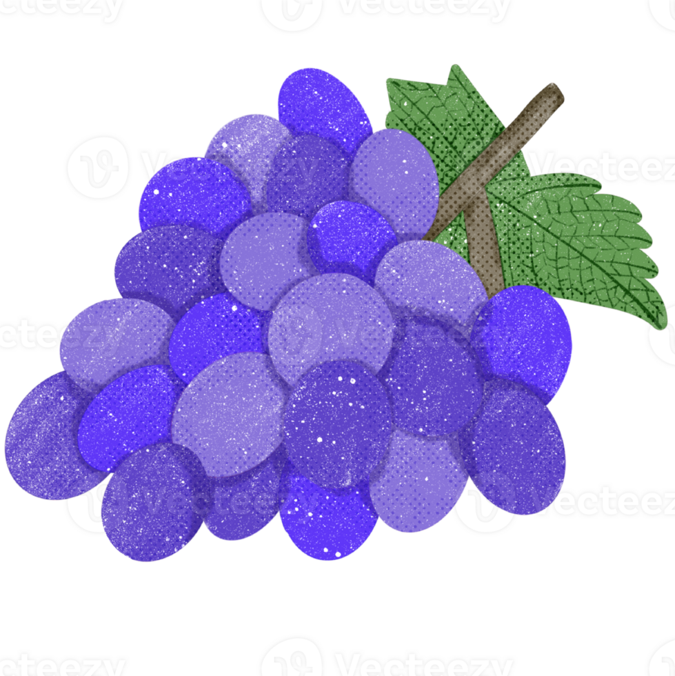 Bunch of Purple Grapes png