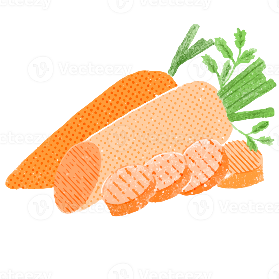 Illustration of Carrots png