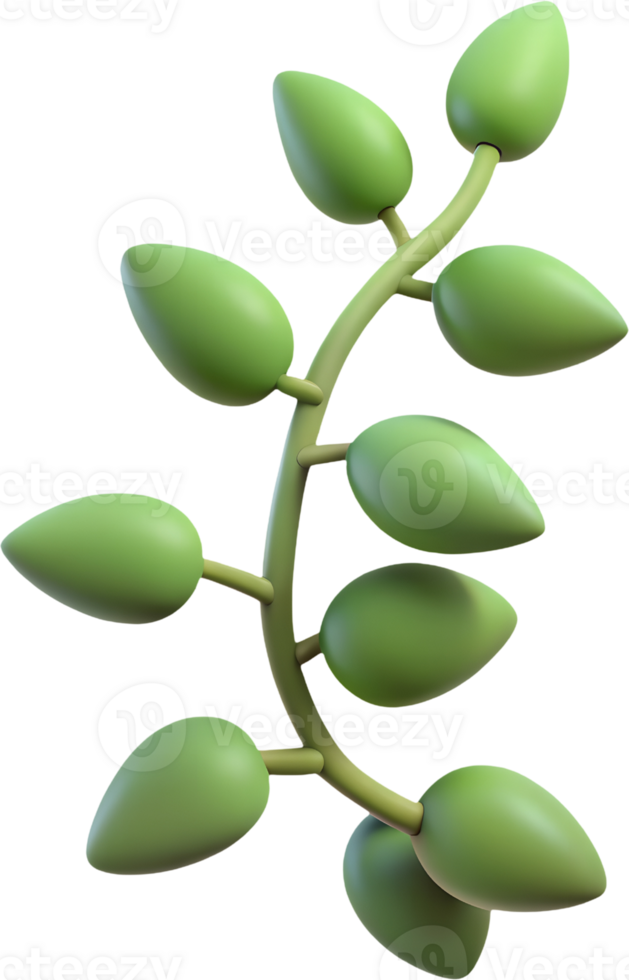 3D Cartoon Plant Leaves Set - Isolated Green Foliage for Design, Game Assets, and Illustrations. 3D Cartoon Summer Tropical Nature Icon Set - Isolated Clipart on Transparent Background png