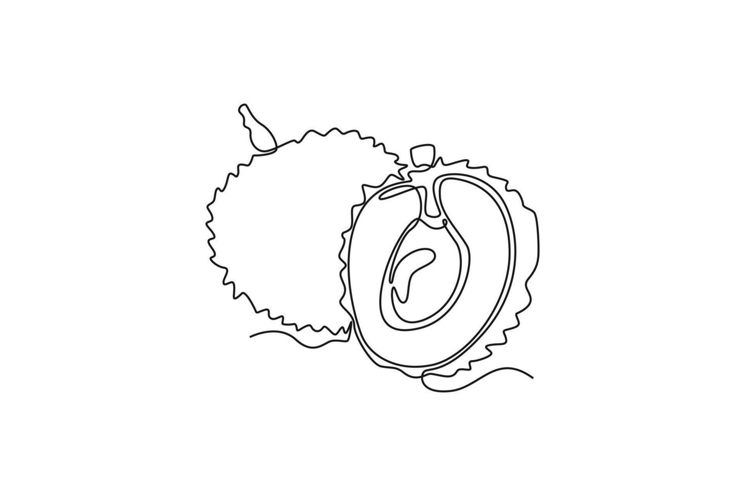 Single one line drawing whole and peeled healthy organic lychee for orchard logo identity. Fresh summer fruitage concept for fruit garden icon. Continuous line draw design graphic illustration vector