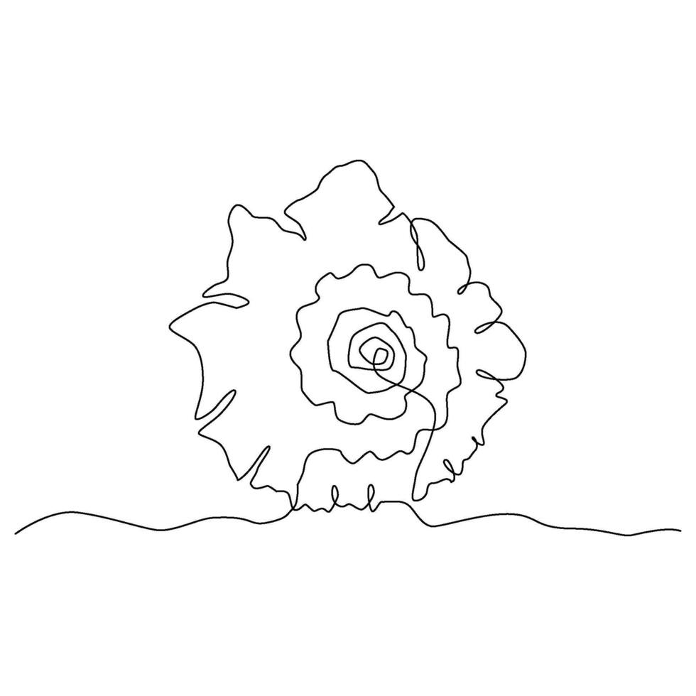 Continuous one line drawing of sea shell isolated element. outline summer beach illustration. Black and white vacation concept, minimal line art. Underwater natural coral, linear poster vector