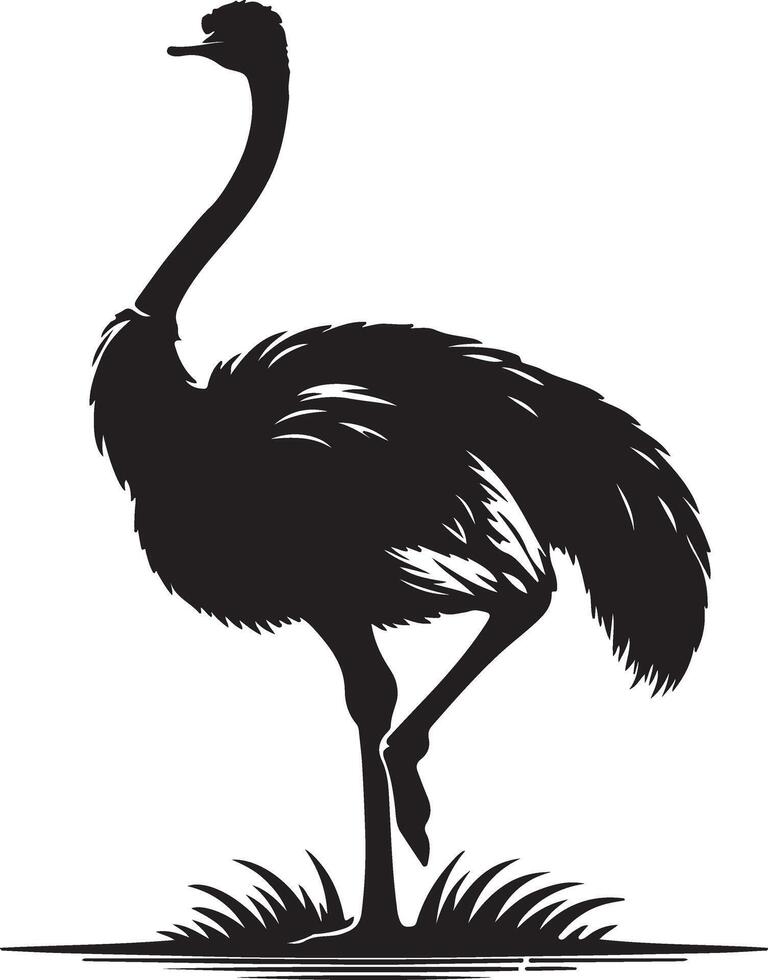 Ostrich silhouette illustration Design vector