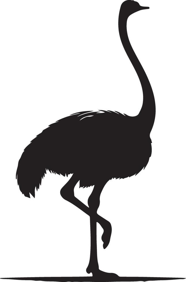 Ostrich silhouette illustration Design vector