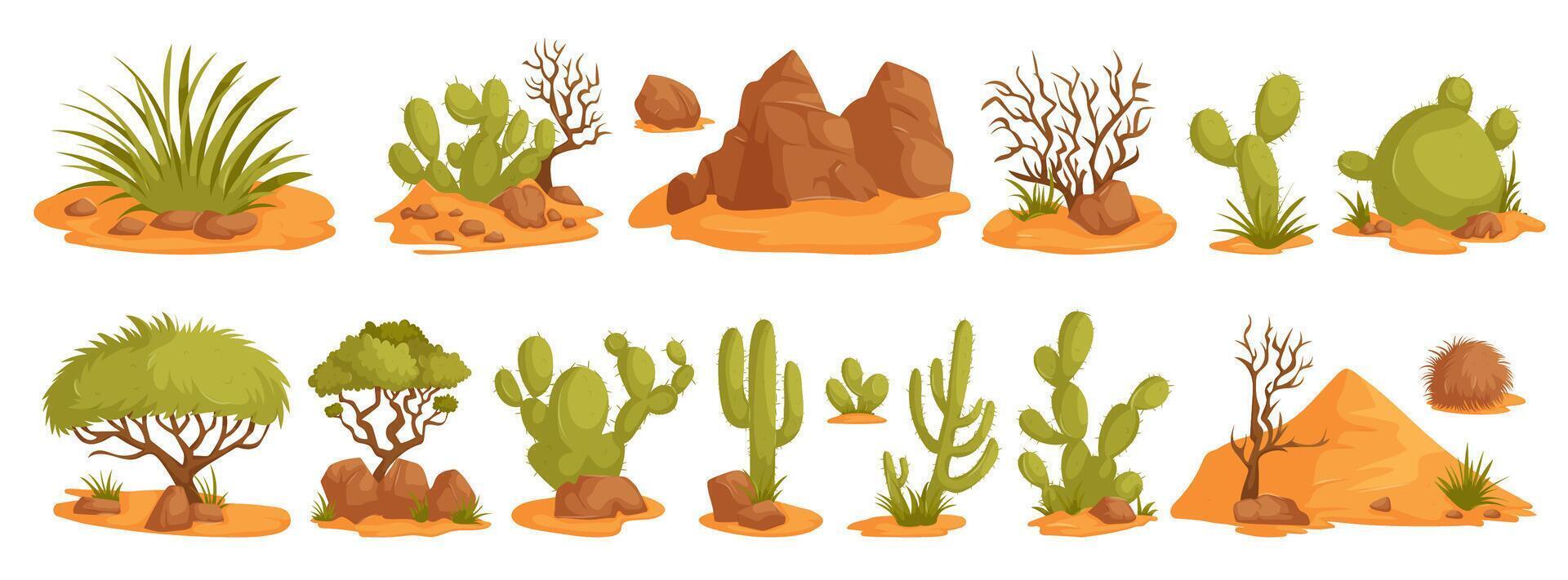 Various types of plants and cactus in the desert vector