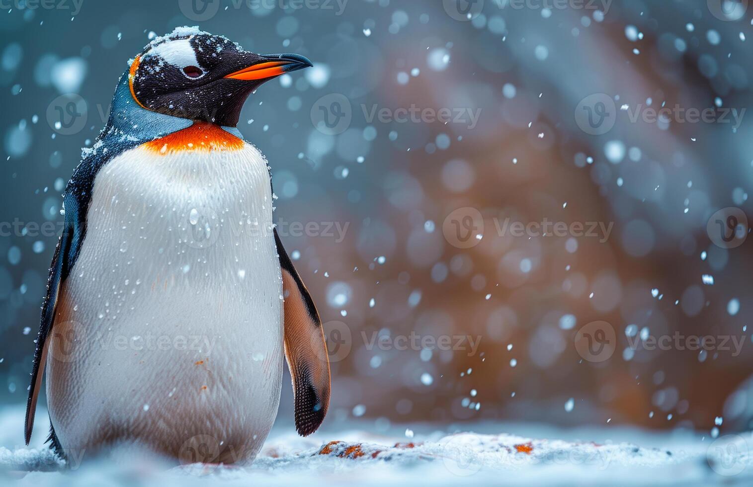 Gentoo penguin stands on snow in winter forest during snowfall. photo