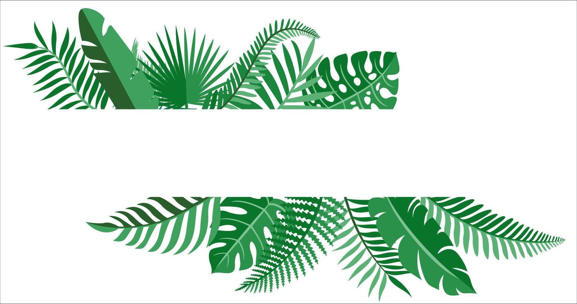 Tropical background with leaves. illustration for your design. vector