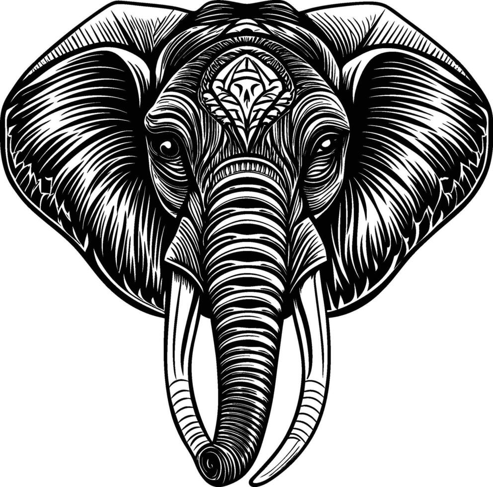 elephant head isolated on white background vector