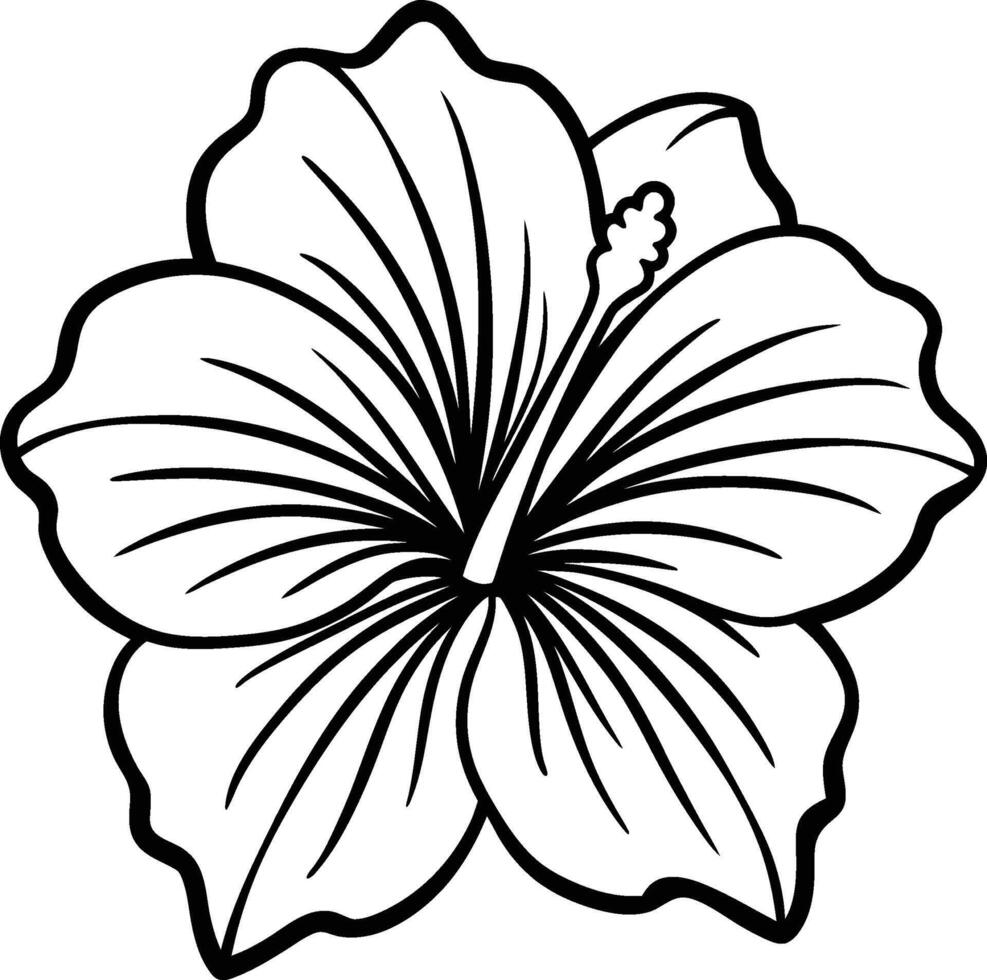 hibiscus flower illustration eps 10 vector