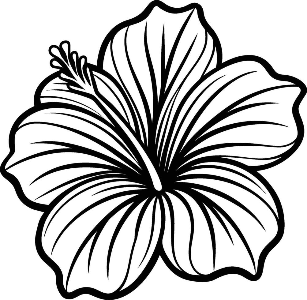 hibiscus flower illustration eps 10 vector