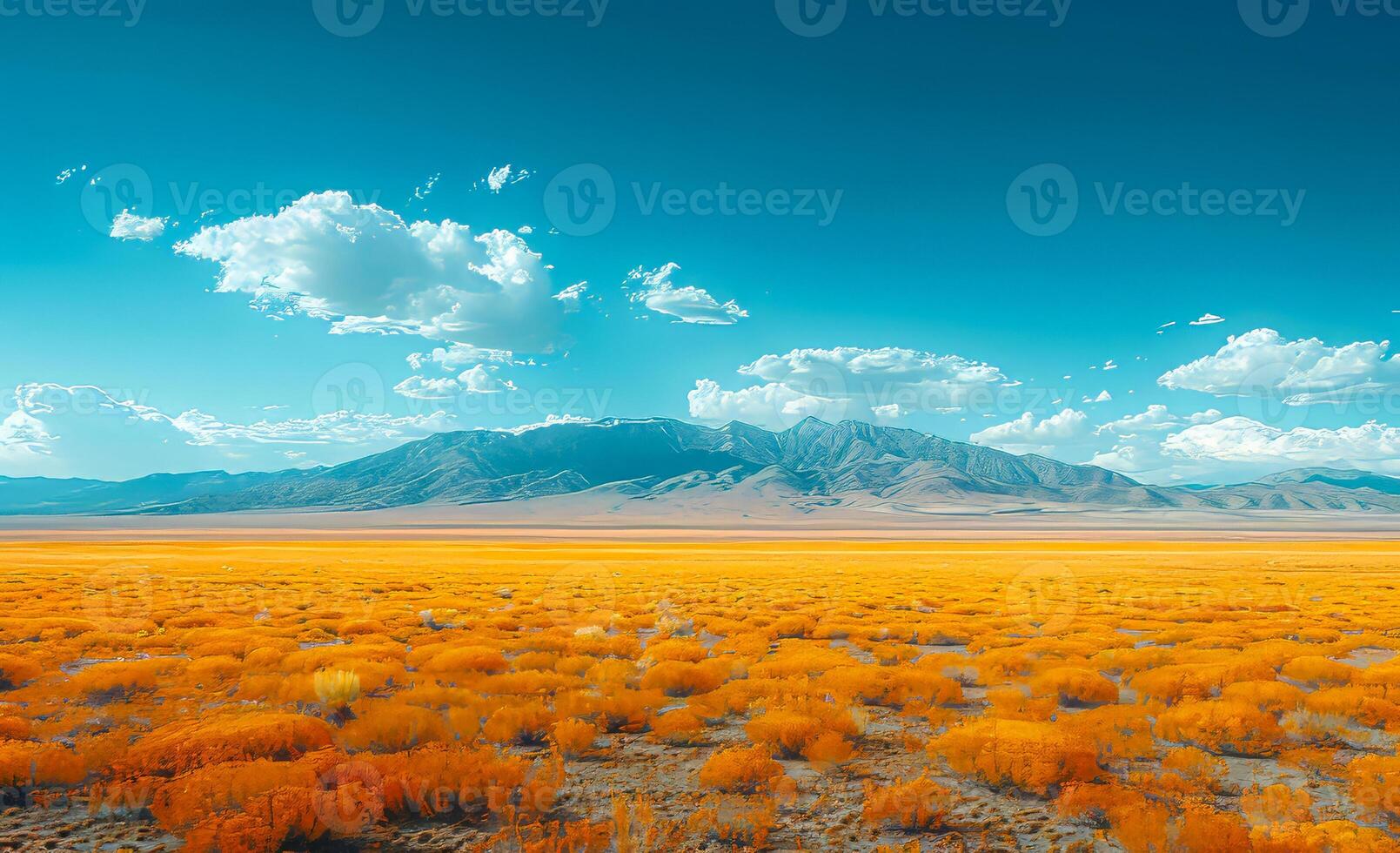 Yellow grass and mountains in the background. Minimalist desert landscape photo