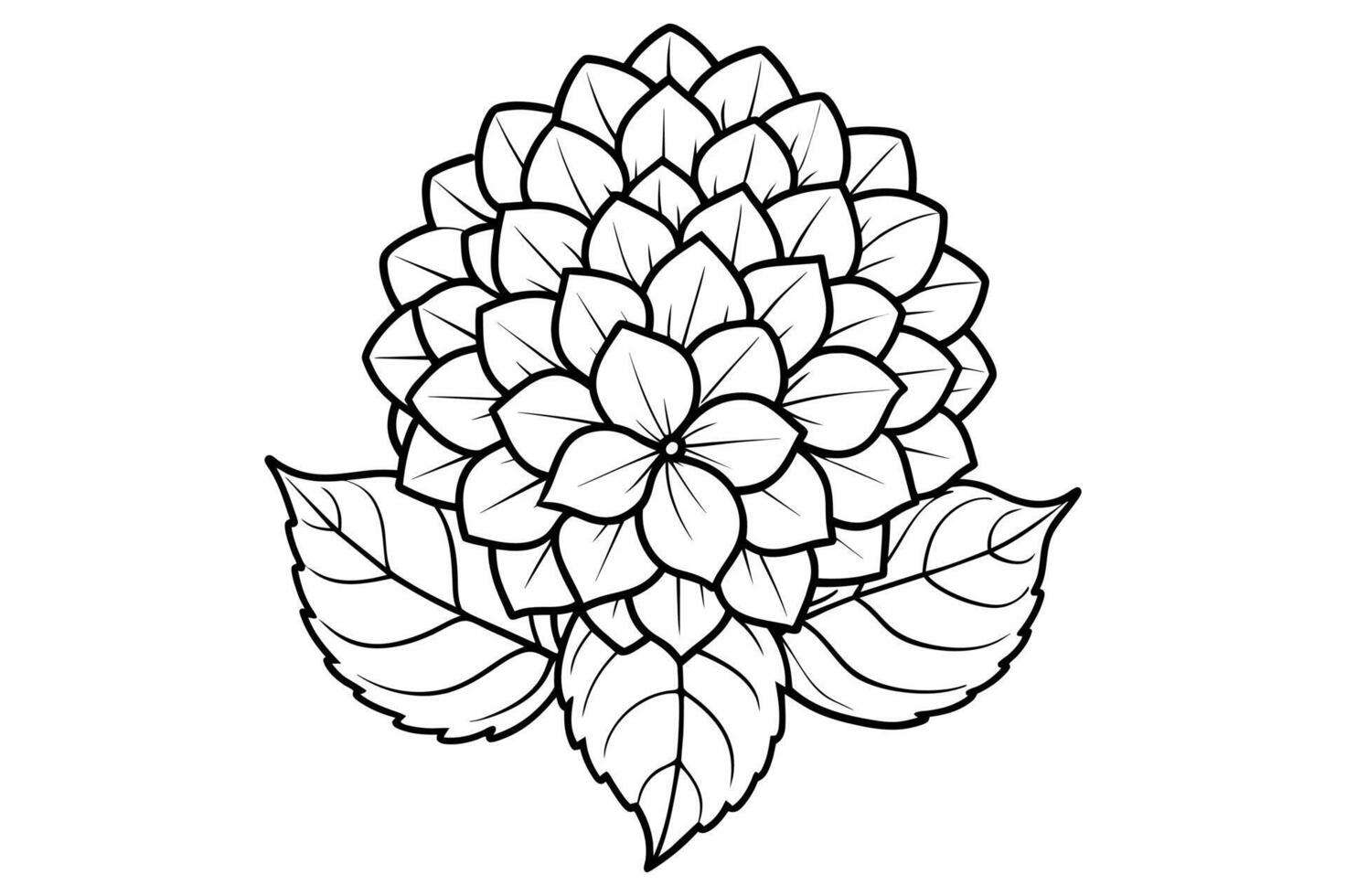 line art of a hydrangea vector