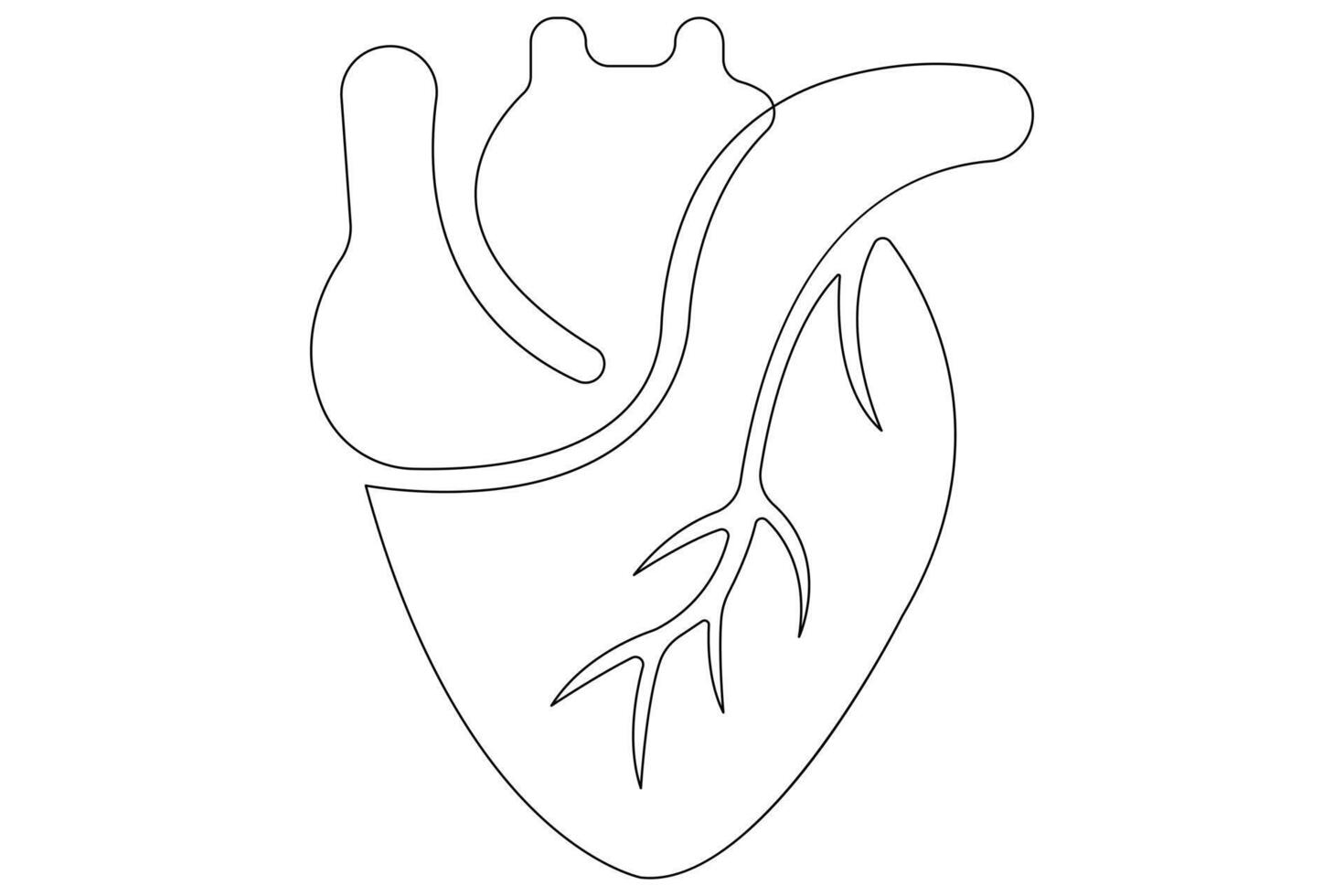 Continuous one line of human heart drawing Anatomical heart outline illustration vector