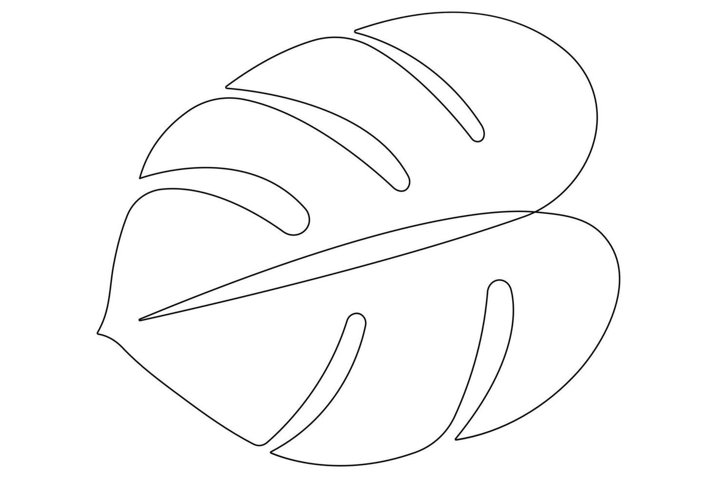 Leaf monstera continuous one line art drawing of outline illustration vector