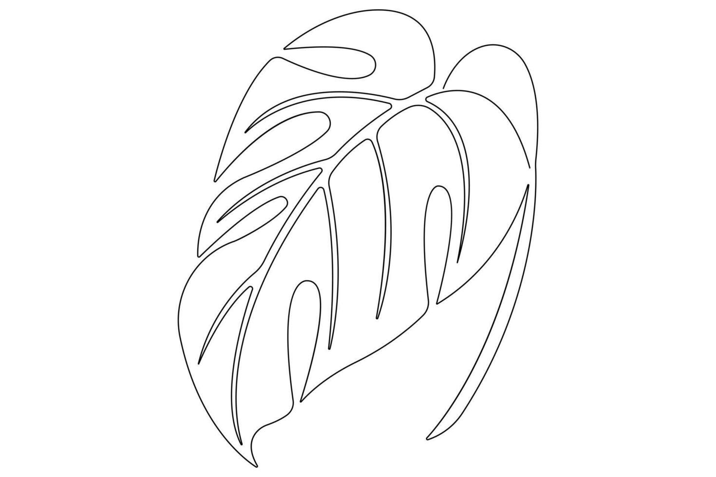 Leaf monstera continuous one line art drawing of outline illustration vector