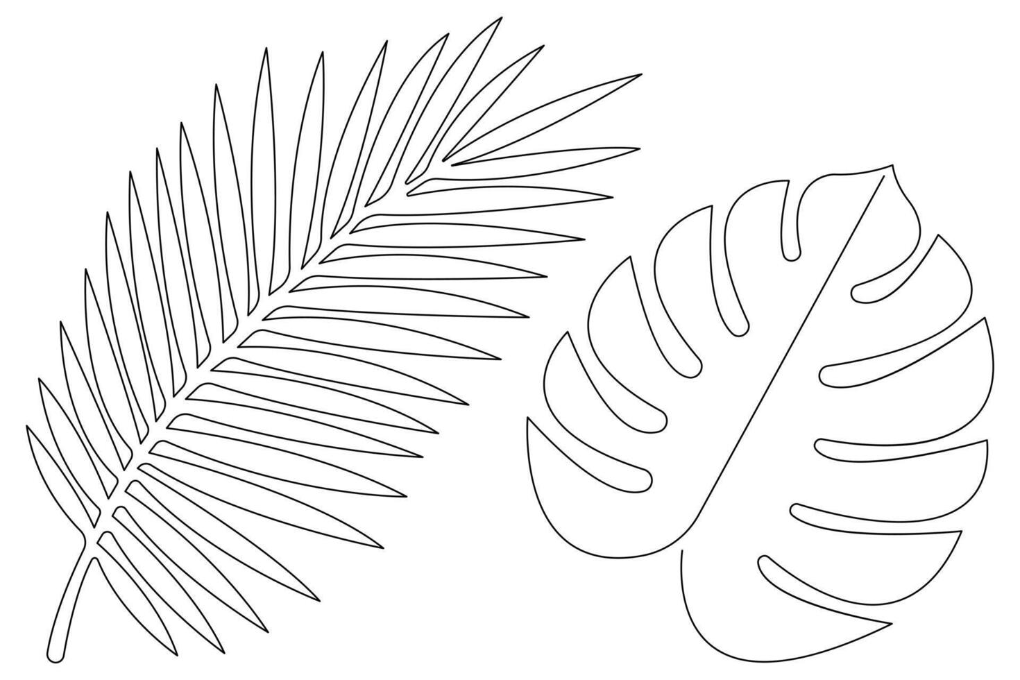 illustration continuous one line drawing of outline palm leaf design vector