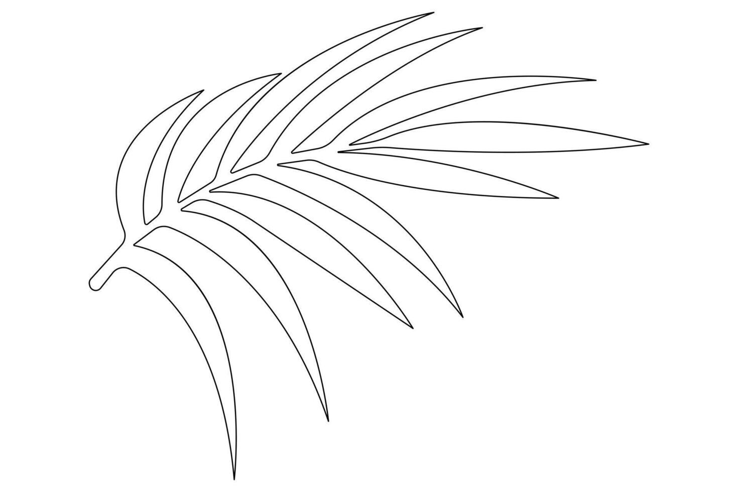 illustration continuous one line drawing of outline palm leaf design vector