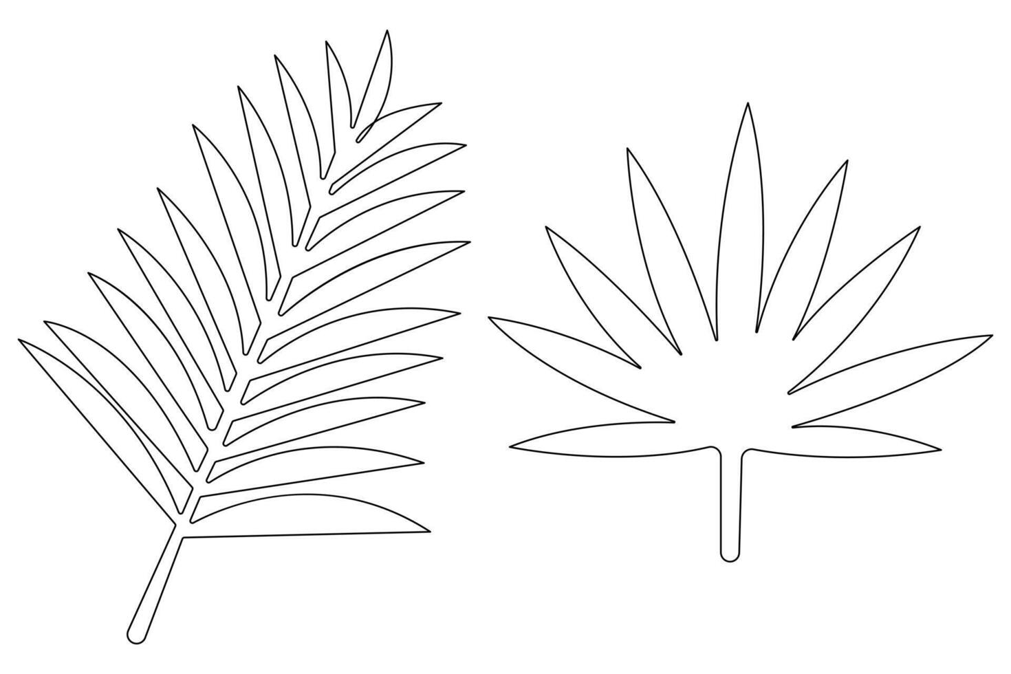 illustration continuous one line drawing of outline palm leaf design vector