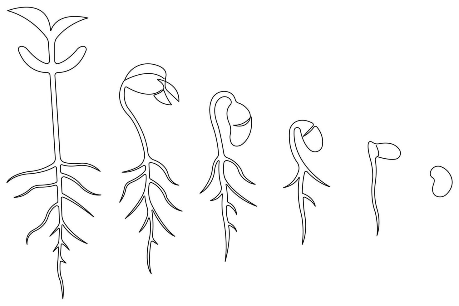 Plant growing continuous one line art drawing of tree plant outline illustration vector