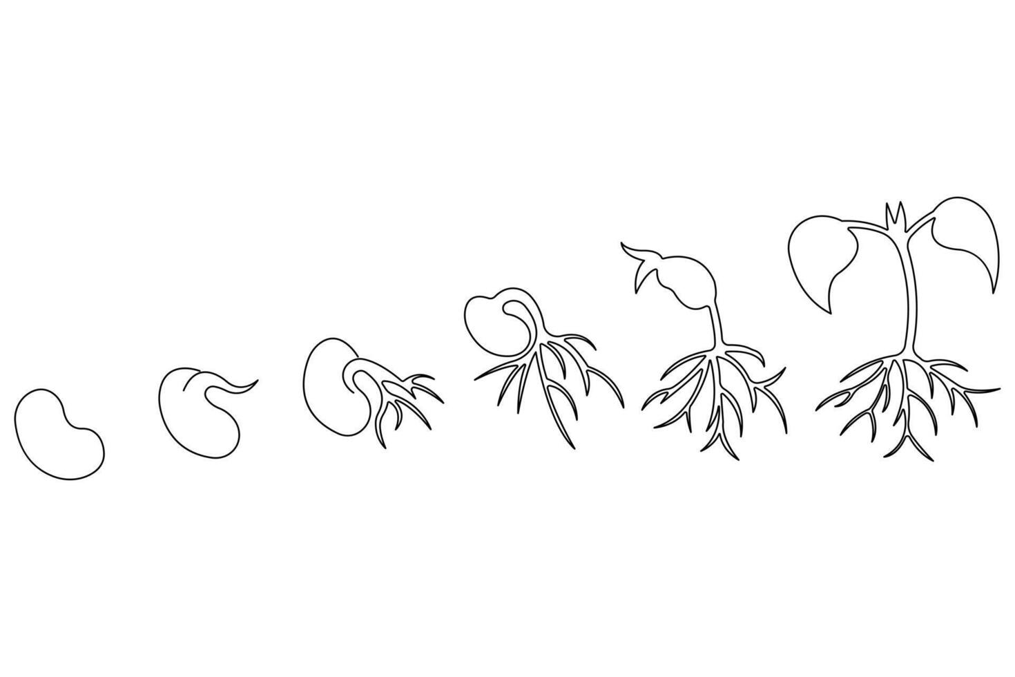 Plant growing continuous one line art drawing of tree plant outline illustration vector
