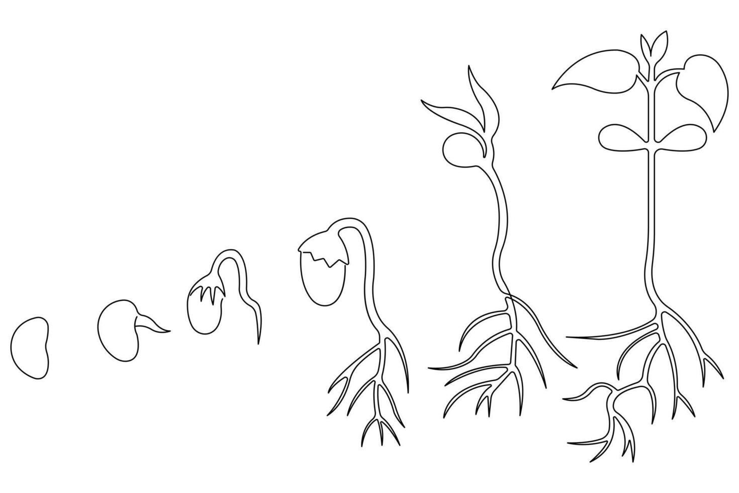 Plant growing continuous one line art drawing of tree plant outline illustration vector