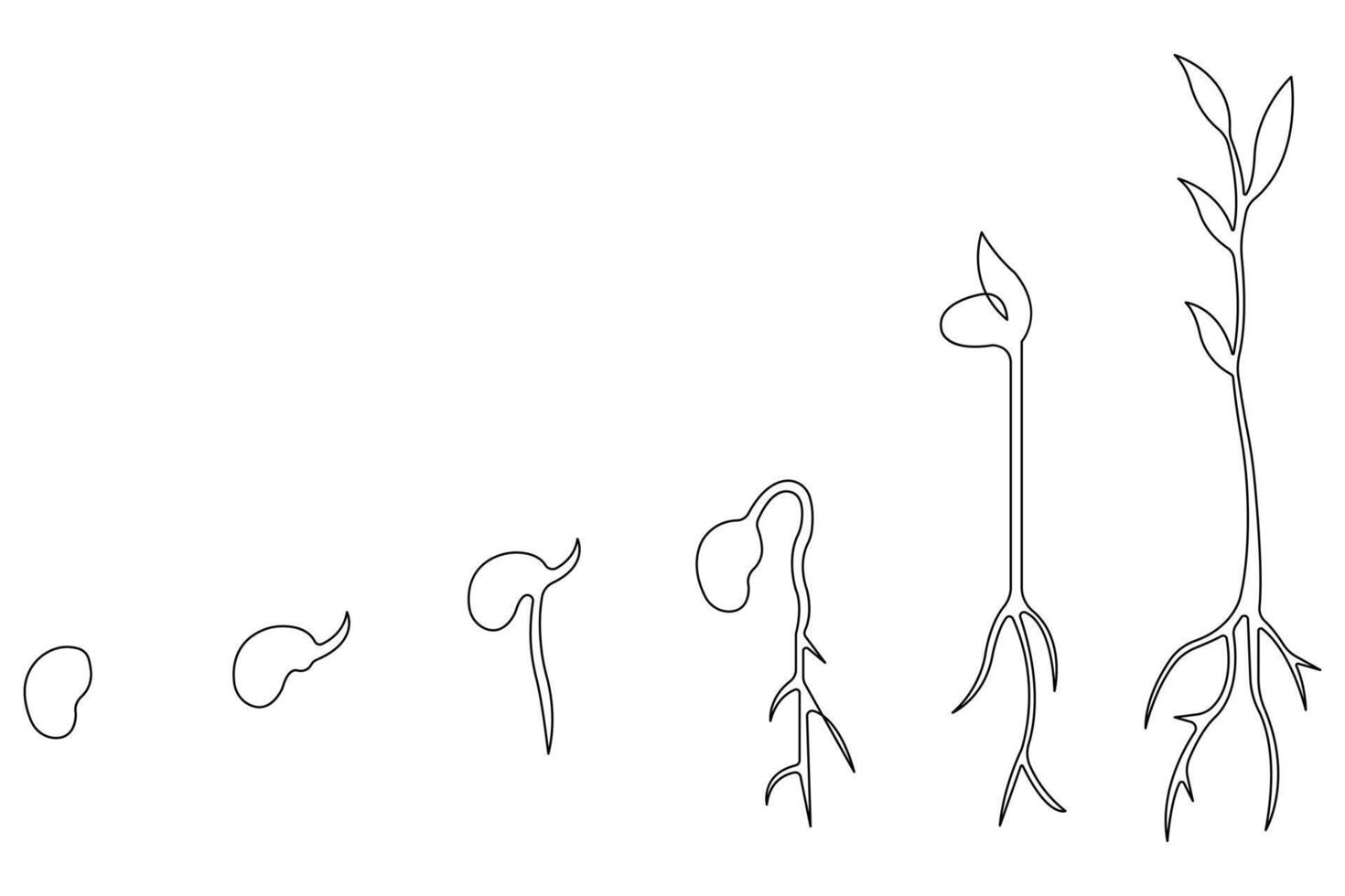 Plant growing continuous one line art drawing of tree plant outline illustration vector