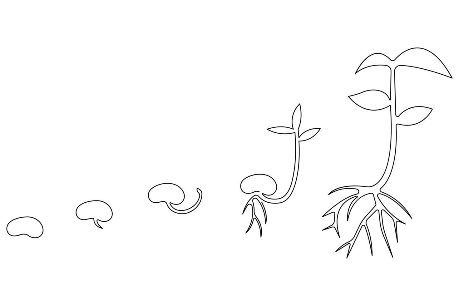 Continuous single line art drawing of plant growth processing from seed outline vector