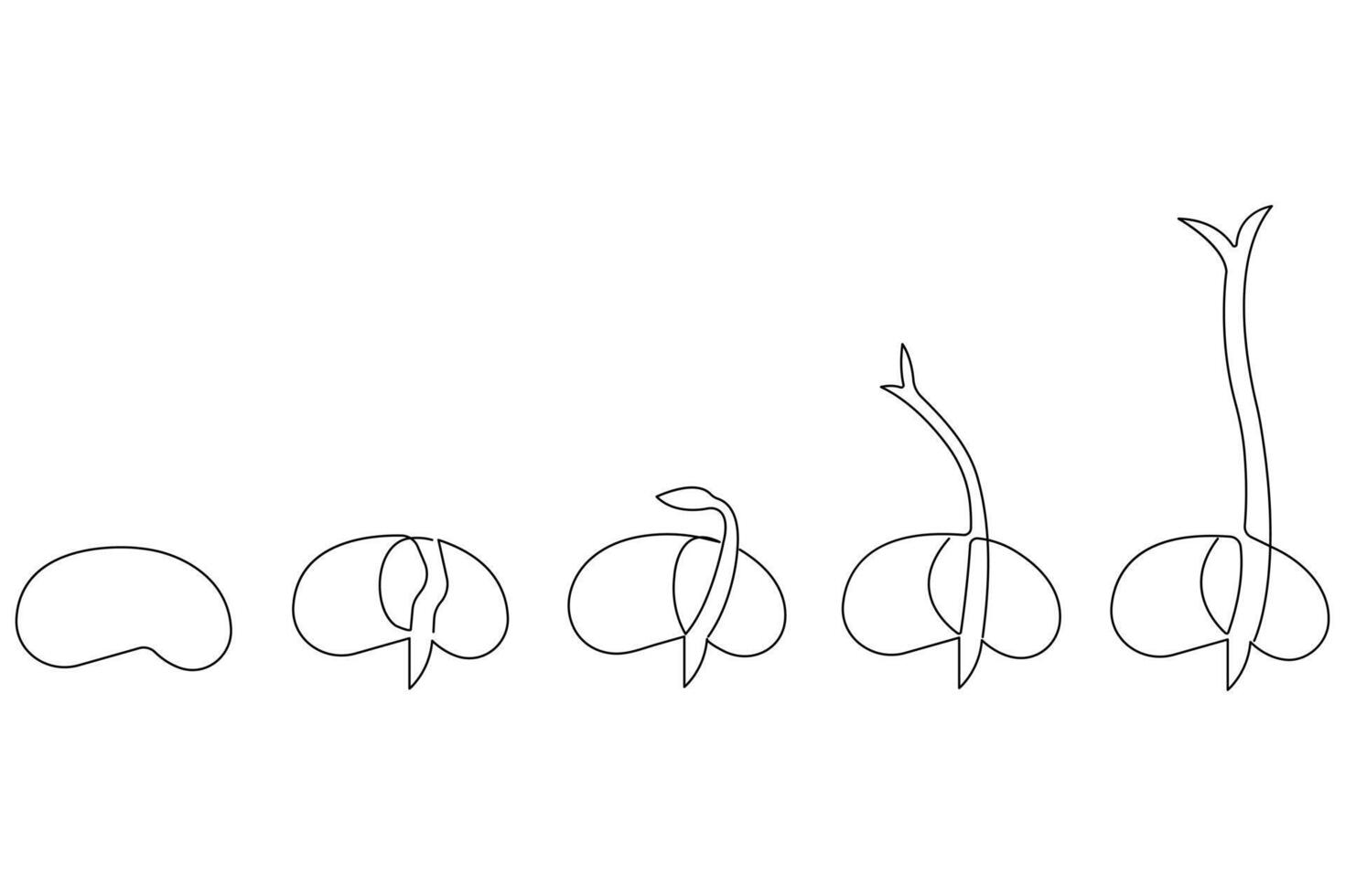 Continuous single line art drawing of plant growth processing from seed outline vector