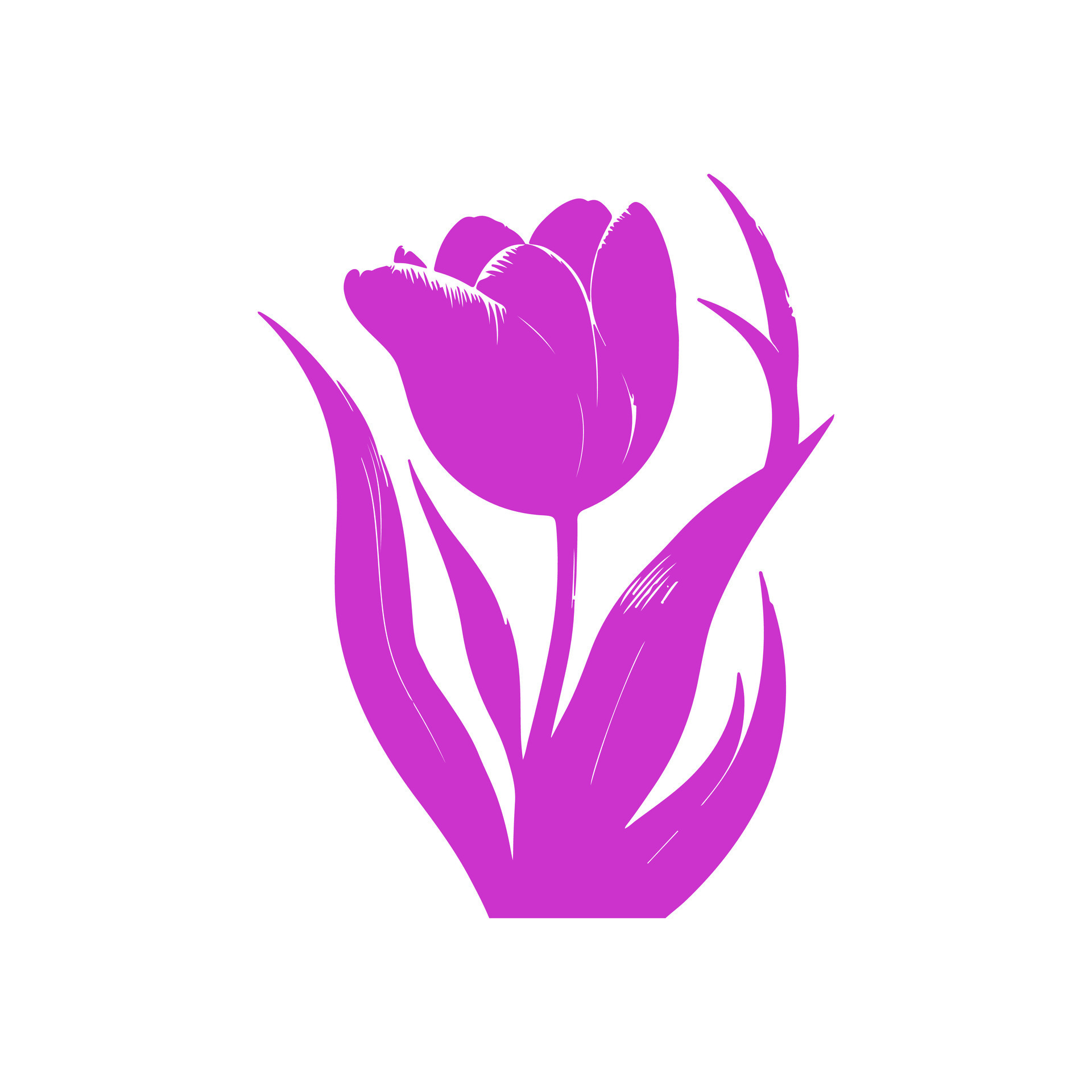 Colorful tulip flower. 46372519 Vector Art at Vecteezy
