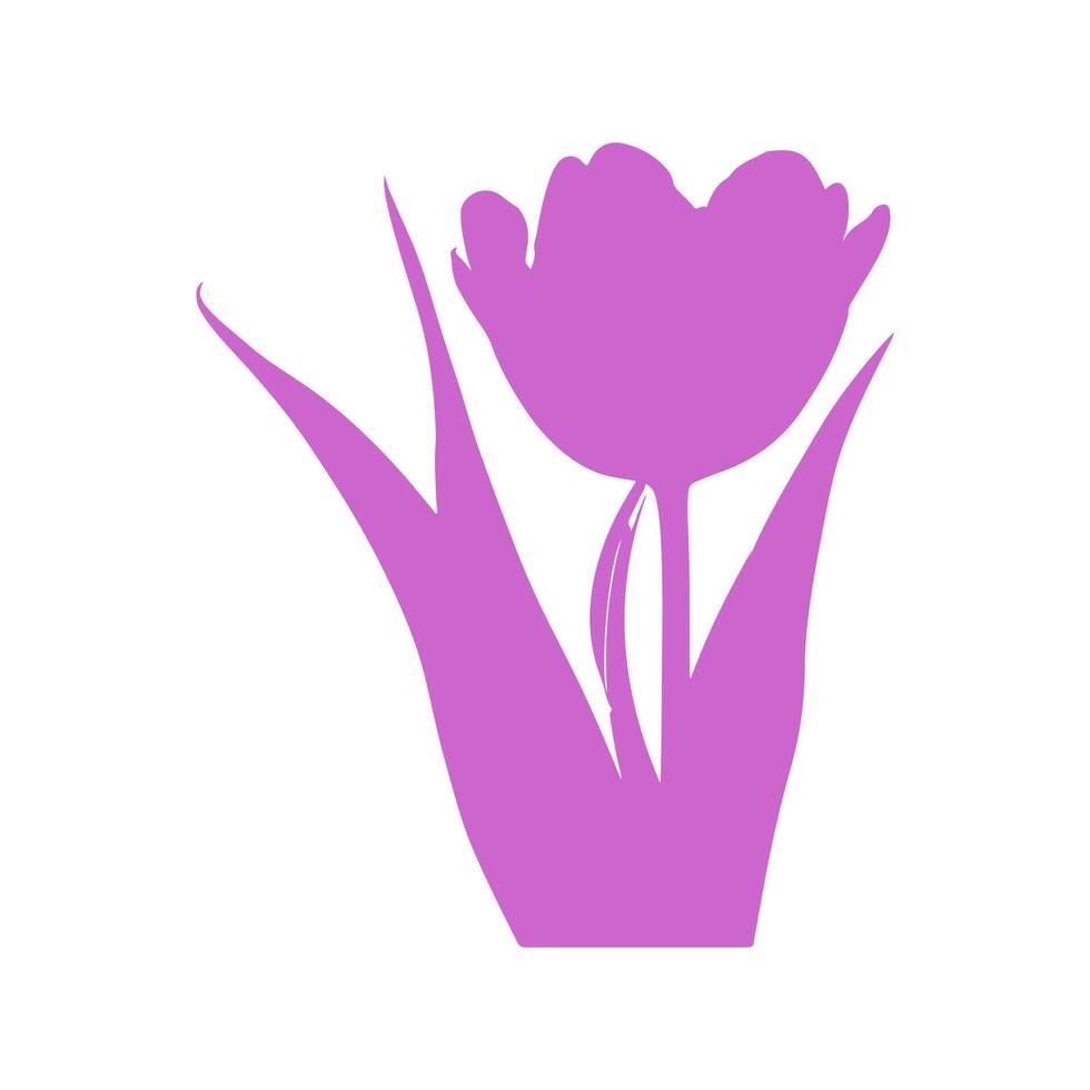 Colorful tulip flower. vector