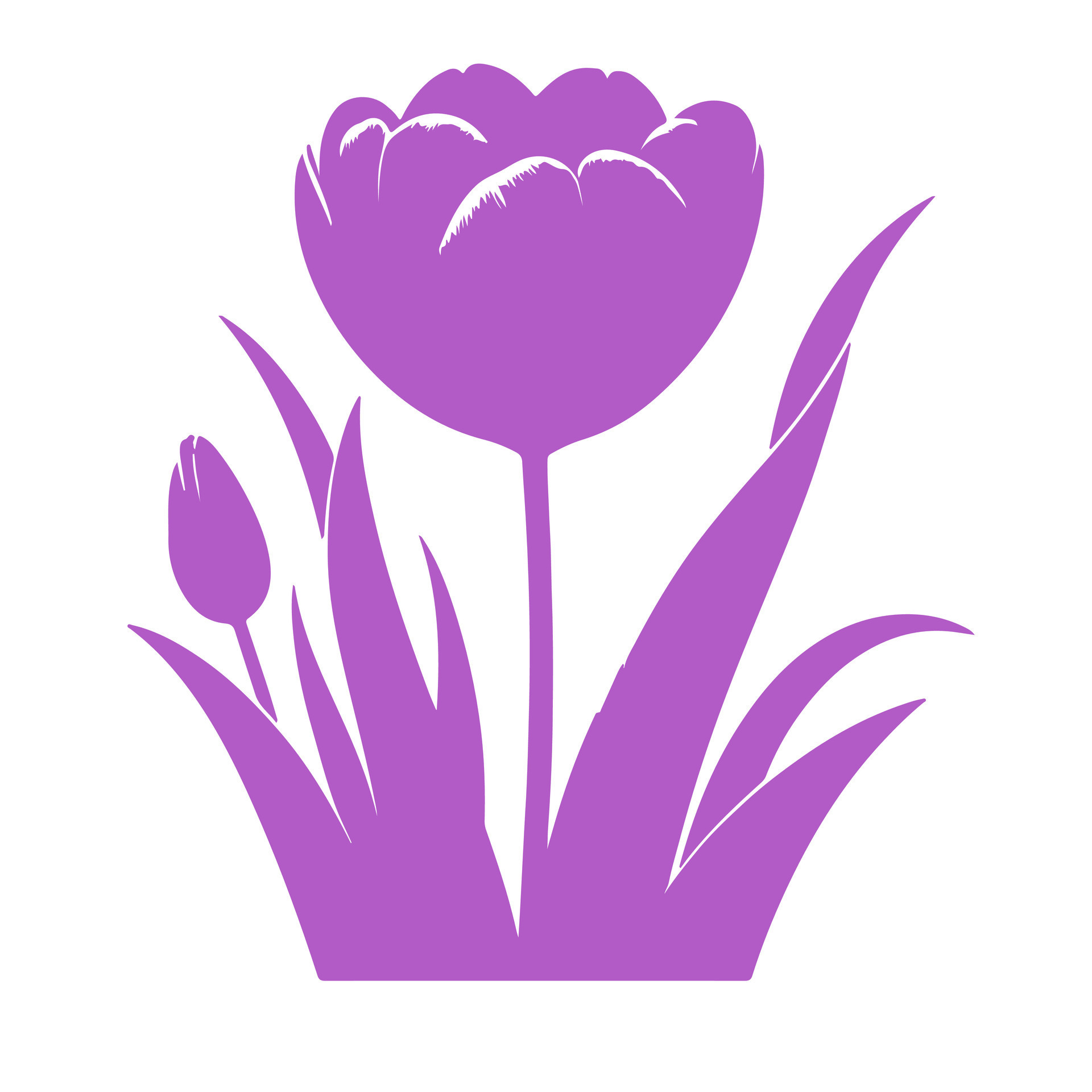 Colorful tulip flower. 46372548 Vector Art at Vecteezy