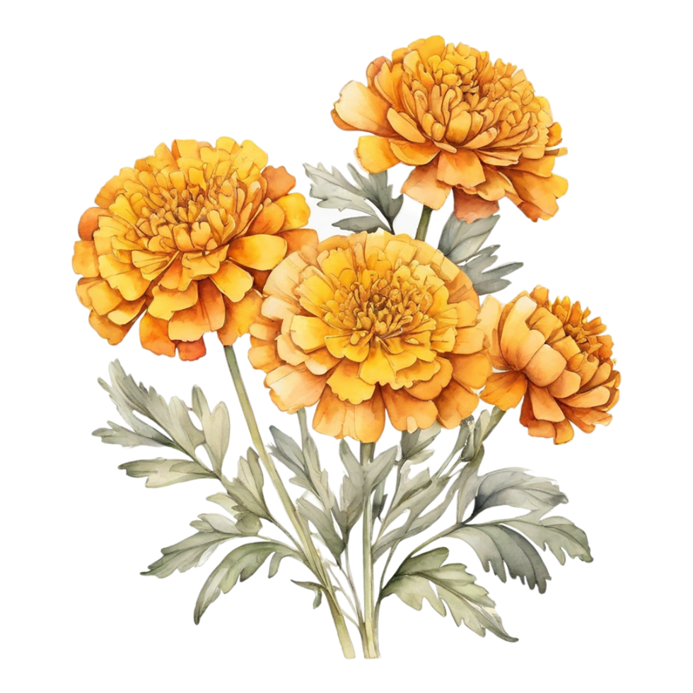 Watercolor Floral Flower Design, Watercolor Flower Arrangements Floral, Watercolor flower Bouquet Design png