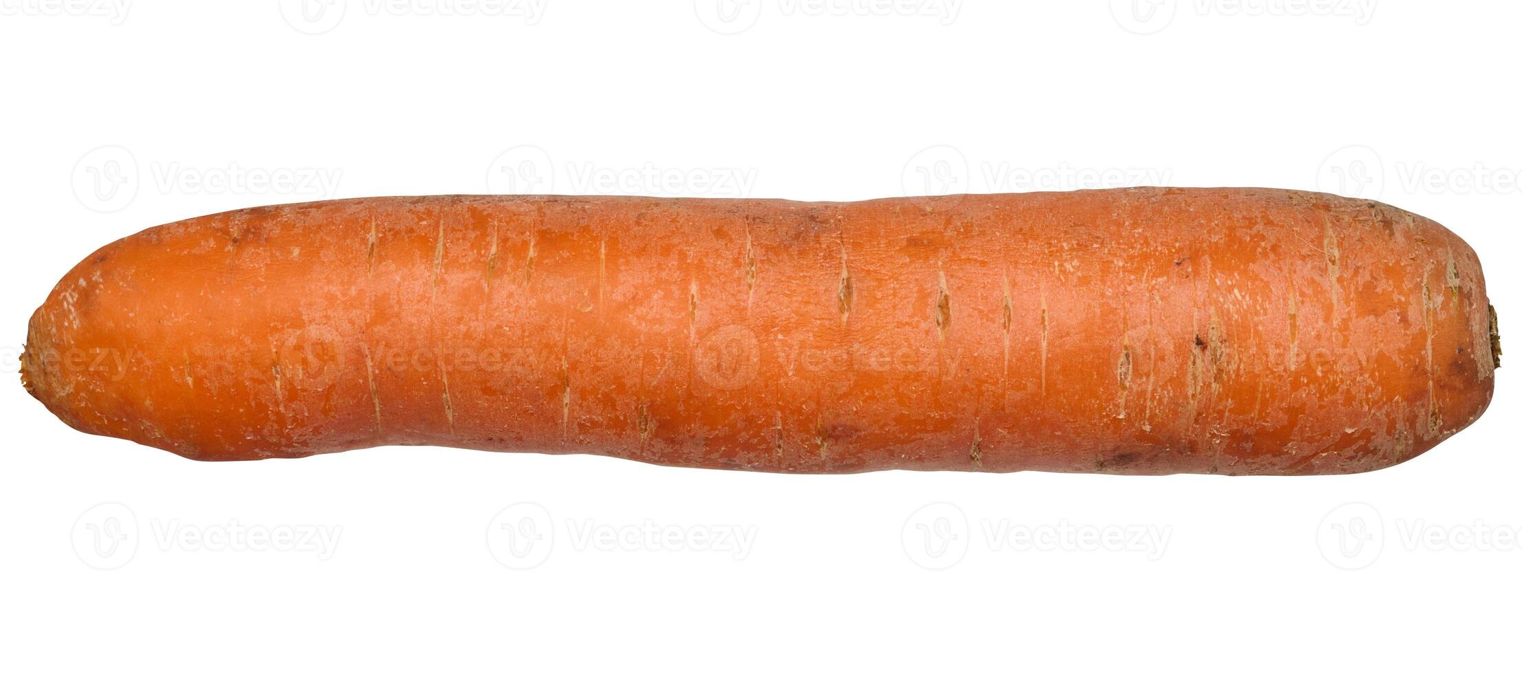 Whole raw carrot on white isolated background photo