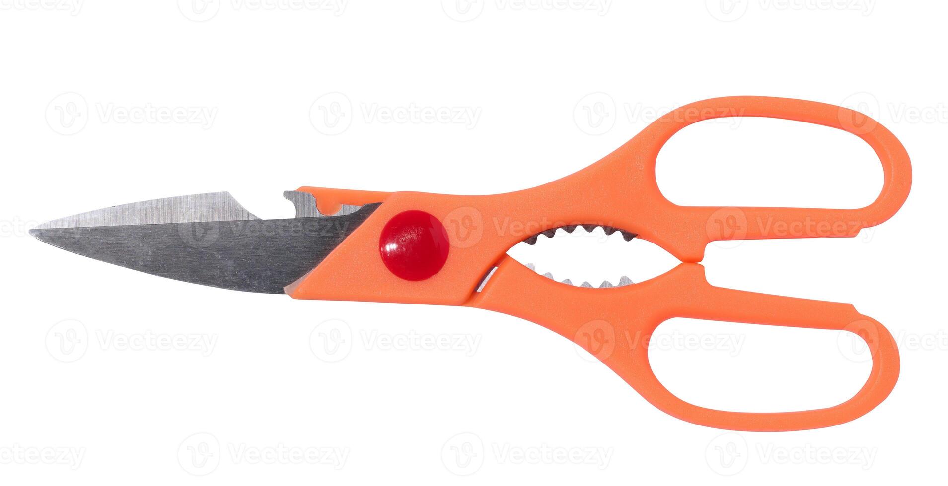 Kitchen scissors with plastic orange handle on isolated background photo
