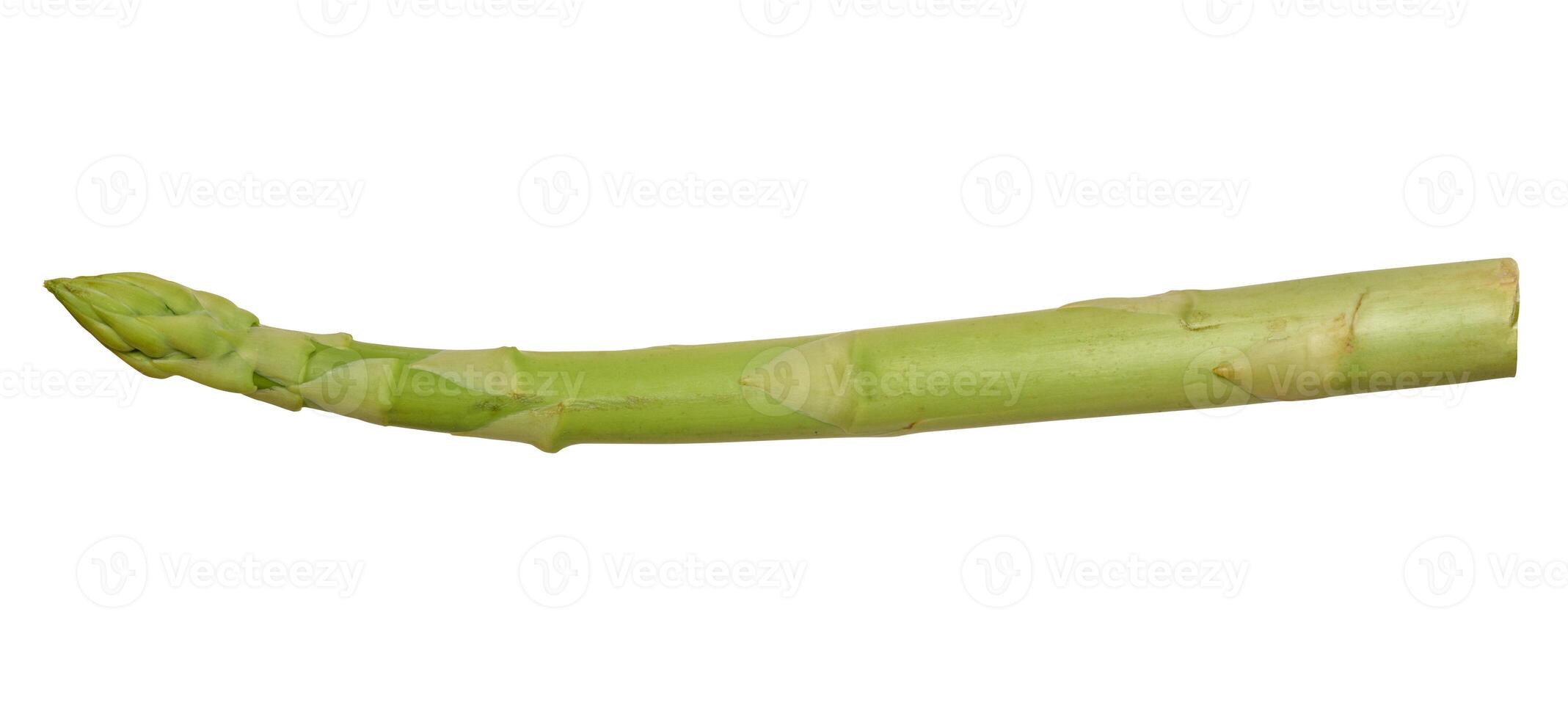 Green raw asparagus stalk on isolated background photo
