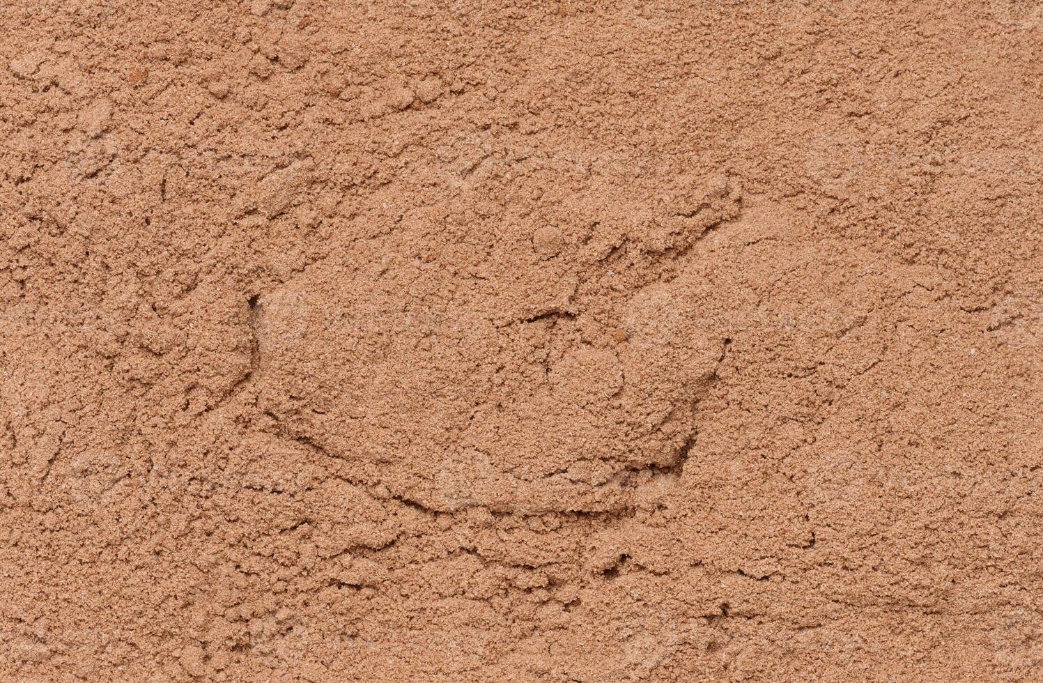 Dry ground cocoa powder, texture. Close up photo