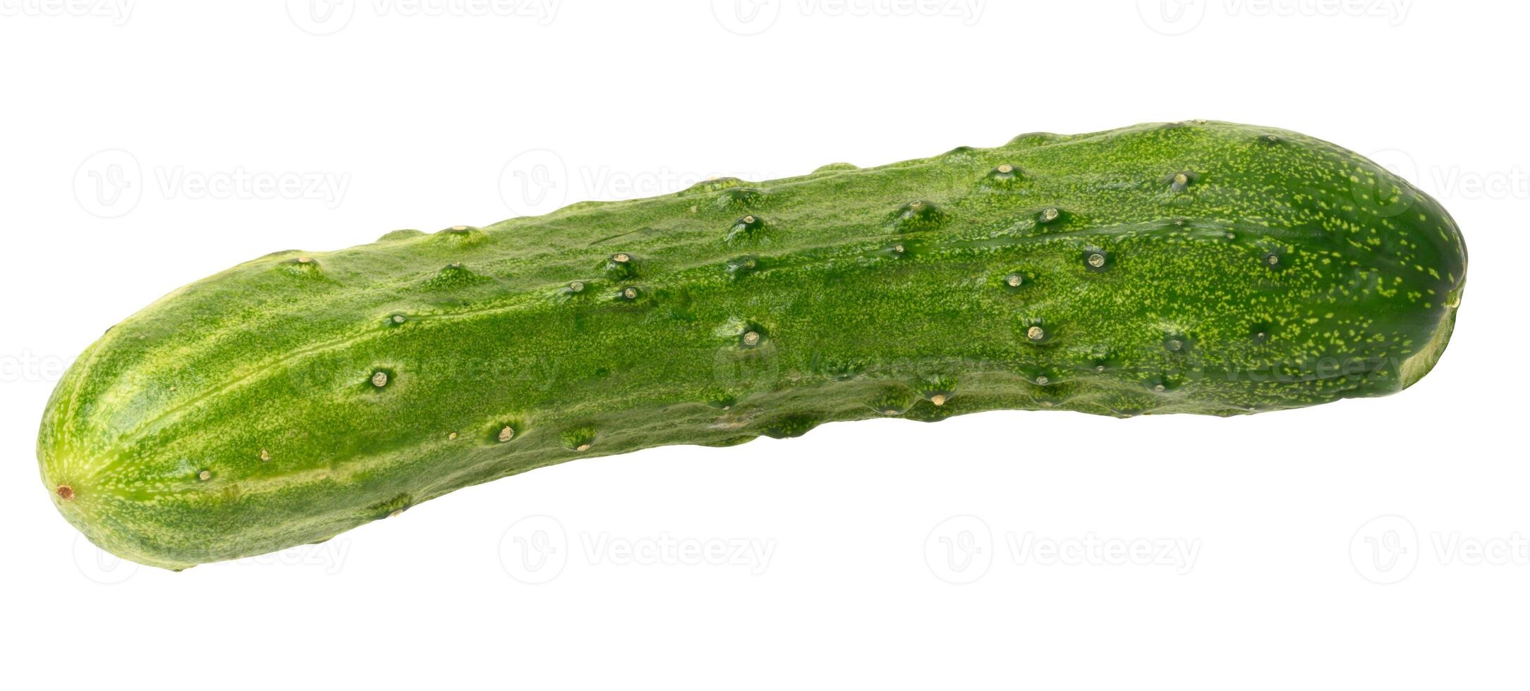 Fresh green cucumber on isolated background photo