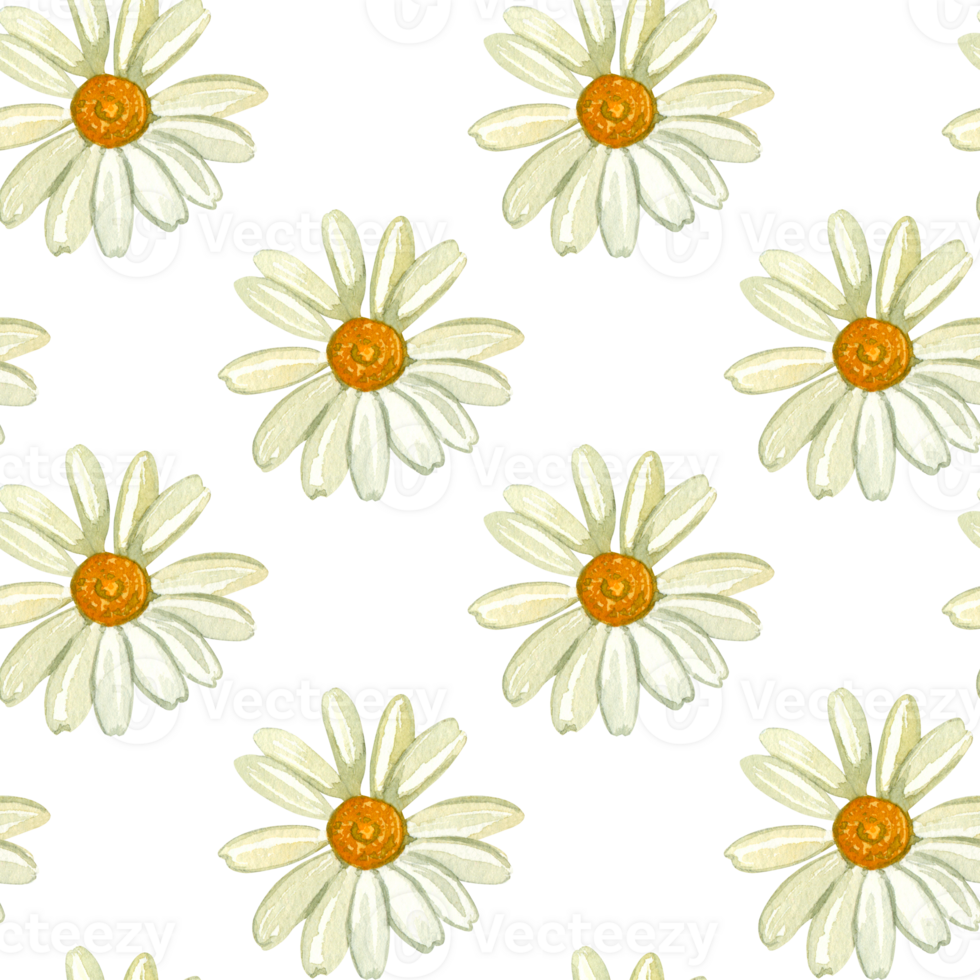 Seamless watercolor pattern. Daisy flower hand drawn in yellow and blue watercolors. Suitable for printing on fabric, paper, kitchen textiles, product packaging, scrapbooking. Watercolor illustration png